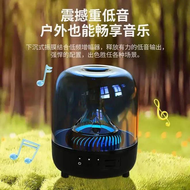 牌：聆听天籁之音尽享音乐盛宴爱游戏app网站十大音响品(图5)