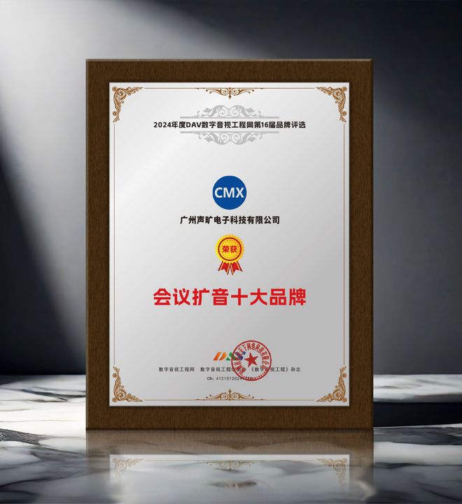 年度会议扩音十大品牌”获奖名单揭晓爱游戏重磅！DAV01“2024(图3)