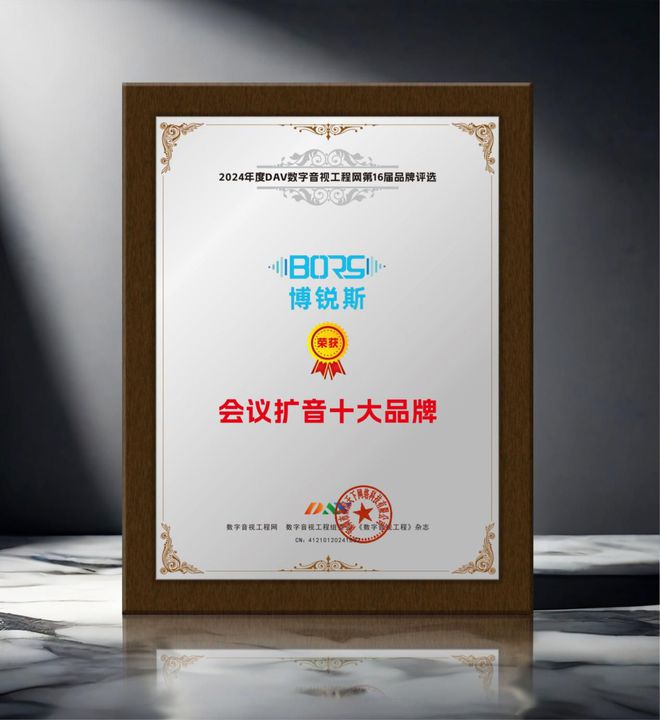 年度会议扩音十大品牌”获奖名单揭晓爱游戏重磅！DAV01“2024(图8)