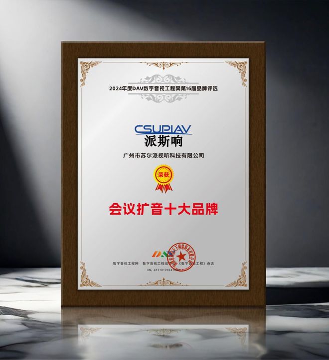 年度会议扩音十大品牌”获奖名单揭晓爱游戏重磅！DAV01“2024(图12)
