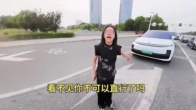 ：女司机气到流产公布完整行车记录仪爱游戏平台河北女司机与骑手冲突后续(图11)