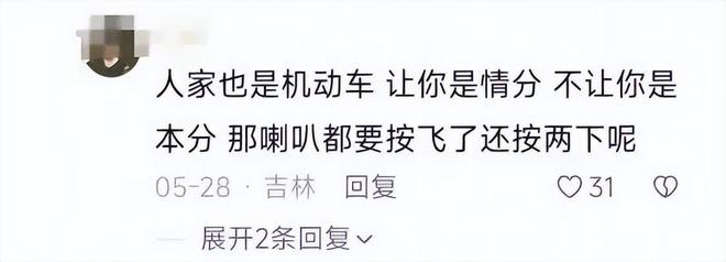 ：女司机气到流产公布完整行车记录仪爱游戏平台河北女司机与骑手冲突后续(图16)